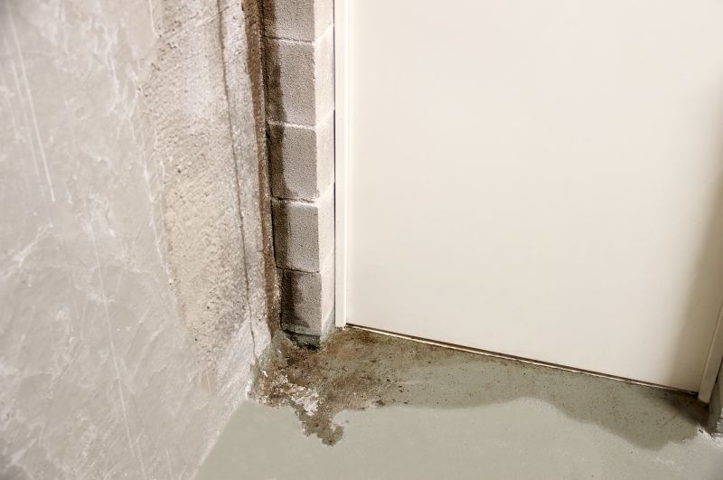 Leaking Basement Repair in Tampa, FL